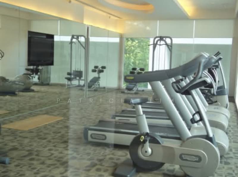 Ardmore II, 2 Ardmore Park, 4 Bedrooms, 2,024 sqft, Condominium For Rent, by Patricia Lim, 500196814 - Gym - PropertyGuru.com.sg