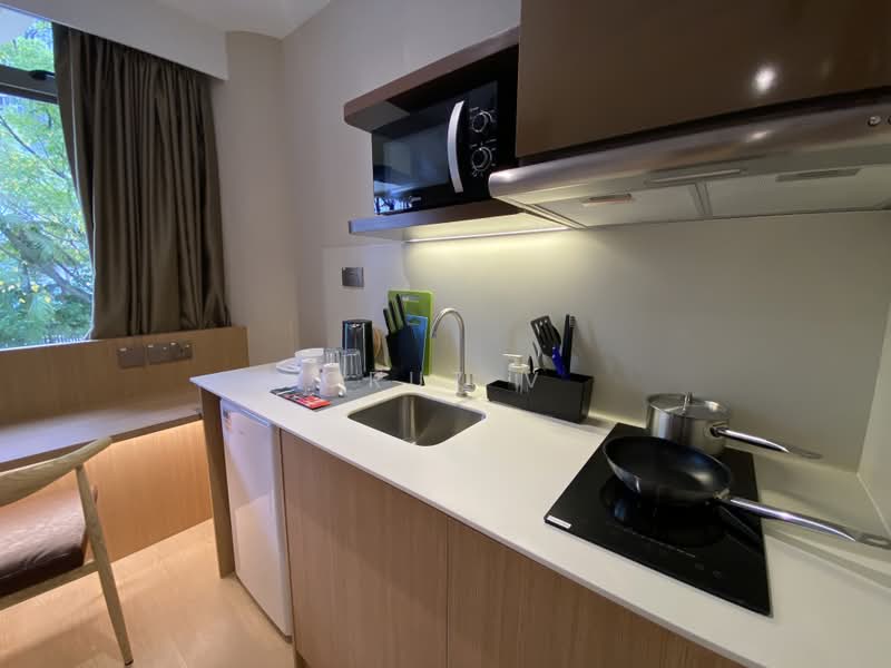 Coliwoo Orchard Studios, 2 Mount Elizabeth Link, Studio, 220 sqft, Condominium For Rent, by Cruz V, 500196954 - PropertyGuru.com.sg