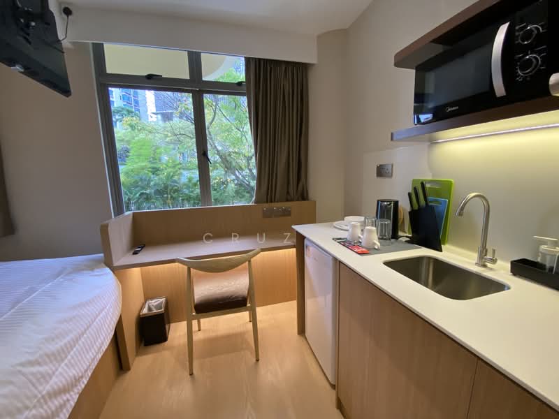 Coliwoo Orchard Studios, 2 Mount Elizabeth Link, Studio, 220 sqft, Condominium For Rent, by Cruz V, 500196954 - PropertyGuru.com.sg