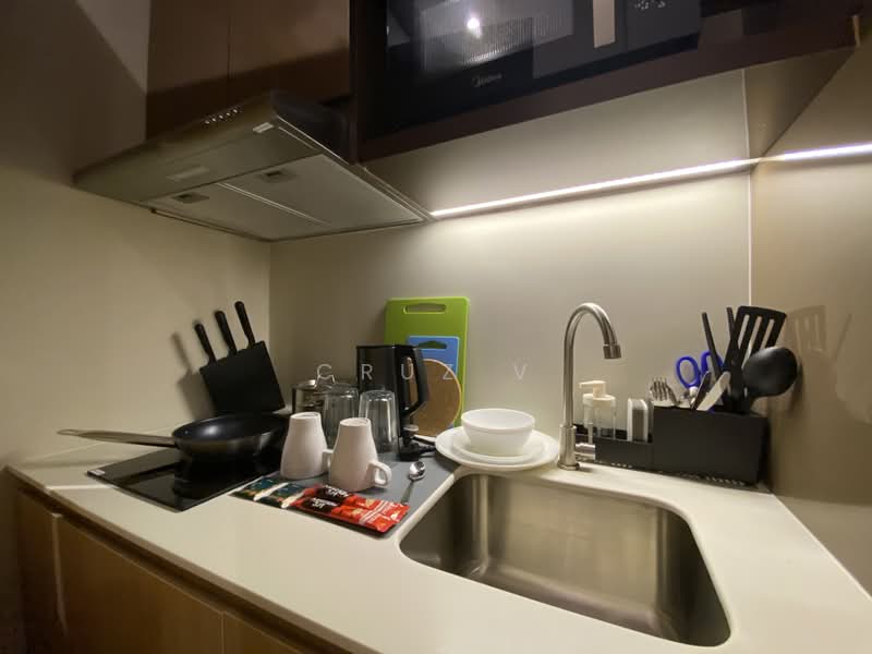 Coliwoo Orchard Studios, 2 Mount Elizabeth Link, Studio, 220 sqft, Condominium For Rent, by Cruz V, 500196954 - PropertyGuru.com.sg