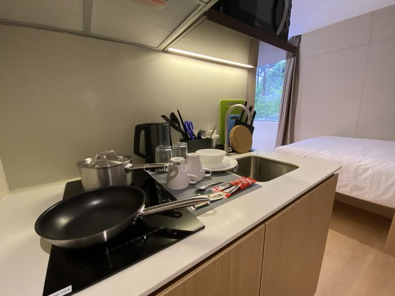 Coliwoo Orchard Studios, 2 Mount Elizabeth Link, Studio, 220 sqft, Condominium For Rent, by Cruz V, 500196954 - PropertyGuru.com.sg