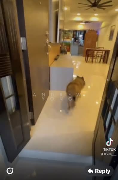 166 Woodlands Street 13, 166 Woodlands Street 13, 2 Bedrooms, 883 sqft, HDB Flat For Rent, by Andrew Yong, 500197042 - Entrance - PropertyGuru.com.sg
