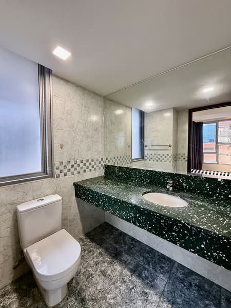 UE Square, 205 River Valley Road, 4 Bedrooms, 1,927 sqft, Apartment For Rent, by Elaine Goh, 500197193 - Bathroom - PropertyGuru.com.sg