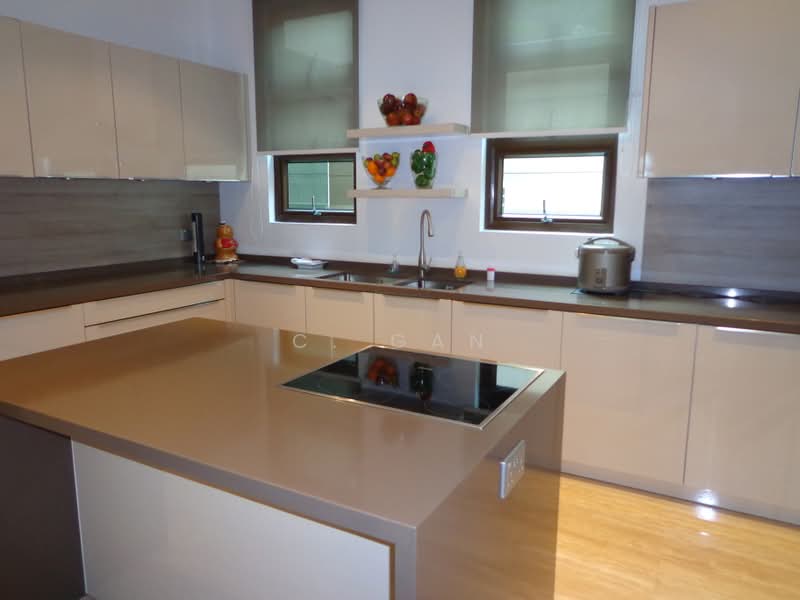 Elevated Camborne Vicinity Bungalow, Camborne, Trevose Crescent, 5 Bedrooms, 6,700 sqft, Detached House For Sale, by C. Gan, 500197234 - Kitchen - PropertyGuru.com.sg