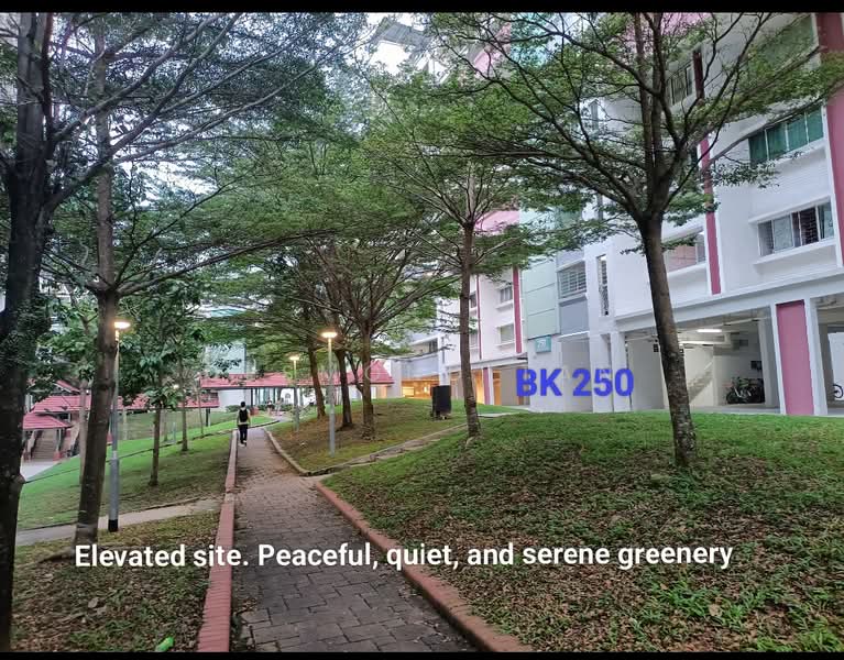 250 Tampines Street 21, 250 Tampines Street 21, 2 Bedrooms, 797 sqft, HDB Flat For Sale, by Desmond Tan, 500197279 - Exterior - PropertyGuru.com.sg