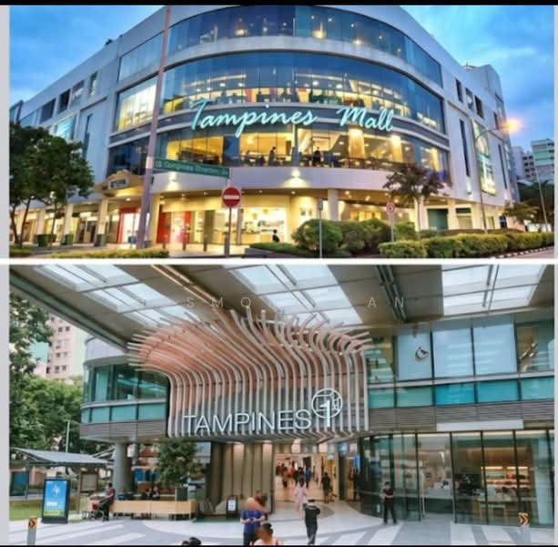 250 Tampines Street 21, 250 Tampines Street 21, 2 Bedrooms, 797 sqft, HDB Flat For Sale, by Desmond Tan, 500197279 - Exterior - PropertyGuru.com.sg