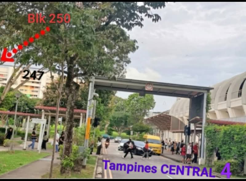 250 Tampines Street 21, 250 Tampines Street 21, 2 Bedrooms, 797 sqft, HDB Flat For Sale, by Desmond Tan, 500197279 - Exterior - PropertyGuru.com.sg