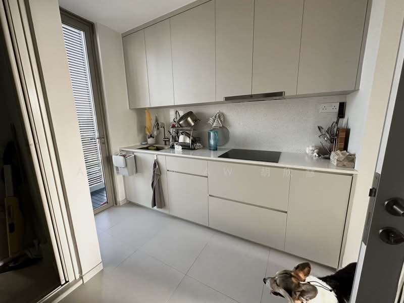 Three Three Robin, 33 Robin Road, 3 Bedrooms, 1,636 sqft, Apartment For Rent, by Ashlyn Aw 胡欣慧, 500197304 - Kitchen - PropertyGuru.com.sg