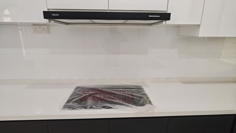 Sommerville Road, sommerville road, 7 Bedrooms, 2,500 sqft, Semi-Detached House For Rent, by Francis Wong, 500197464 - Kitchen - PropertyGuru.com.sg