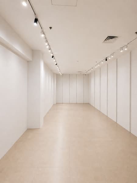 Lucky Plaza, 304 Orchard Road, 398 sqft, Mall Shop For Rent, by Vanessa Sim, 500197589 - Interior - CommercialGuru.com.sg
