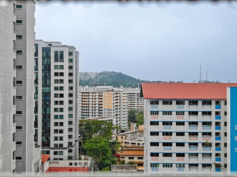 254 Bangkit Road, 254 Bangkit Road, 4 Bedrooms, 1,572 sqft, HDB Flat For Sale, by Rene Goh, 500197693 - Exterior - PropertyGuru.com.sg