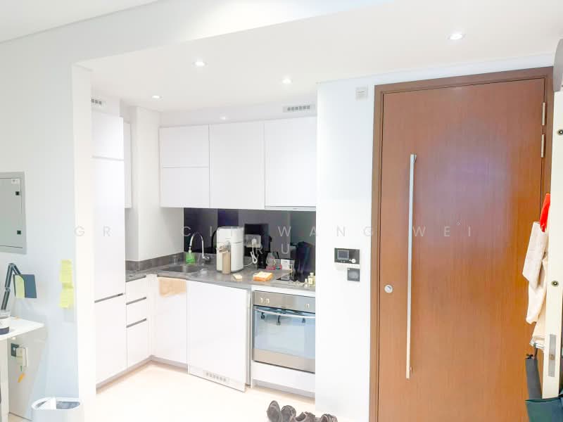 Robinson Suites, 50 Robinson Road, 1 Bedroom, 484 sqft, Condominium For Rent, by Graycin Wang Wei Ru, 500197823 - Kitchen - PropertyGuru.com.sg