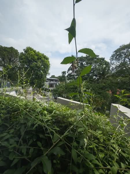 Brand New Freehold Semi-Detached — Walk to Botanic Gardens MRT | 1km to SCGS, Kheam Hock Road, 9 Bedrooms, 8,562 sqft, Semi-Detached House For Sale, by Bryan Lee, 500197825 - PropertyGuru.com.sg