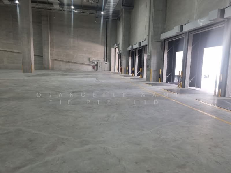 Warehouse, Pioneer Road, Ground floor, MRT, Loading Bays, 11m ceiling, Warehouse, Ground Floor, 148,000 sqft, Warehouse For Rent, by Jason Chong, 500197829 - Interior - CommercialGuru.com.sg