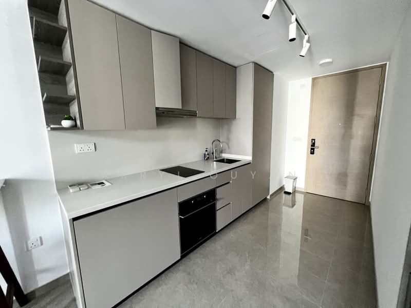 The Tapestry, 51 Tampines Street 86, 1 Bedroom, 474 sqft, Condominium For Sale, by Darryl Ouyang, 500198062 - Kitchen - PropertyGuru.com.sg