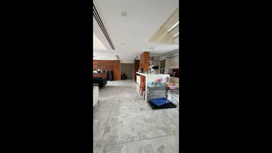 Balmoral Penthouse, Balmtal Road, 5 Bedrooms, 5,000 sqft, Condominium For Rent, by Edalene Lee, 500198064 - PropertyGuru.com.sg