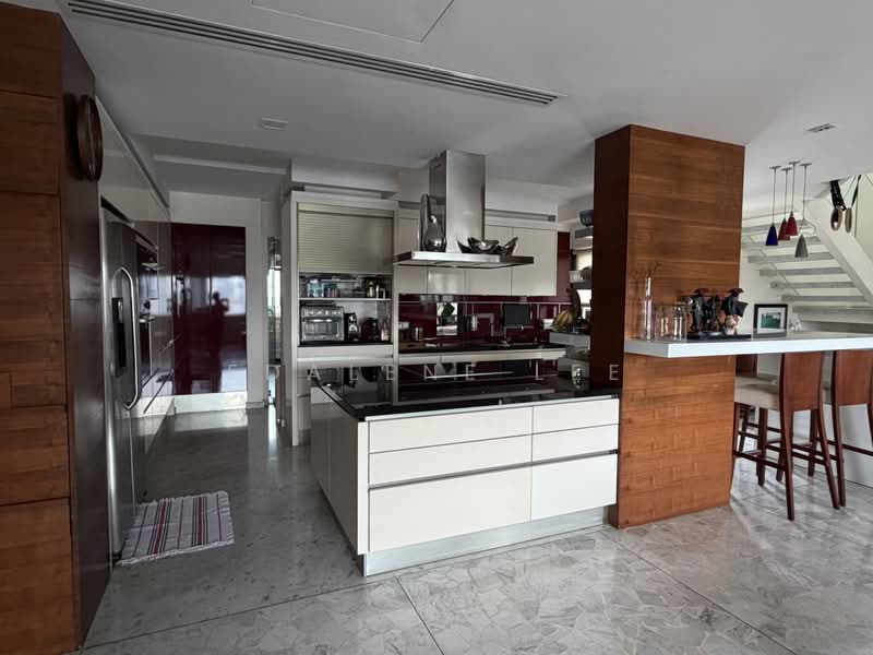 Balmoral Penthouse, Balmtal Road, 5 Bedrooms, 5,000 sqft, Condominium For Rent, by Edalene Lee, 500198064 - Kitchen - PropertyGuru.com.sg