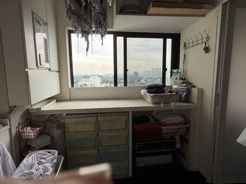 Balmoral Penthouse, Balmtal Road, 5 Bedrooms, 5,000 sqft, Condominium For Rent, by Edalene Lee, 500198064 - View - PropertyGuru.com.sg
