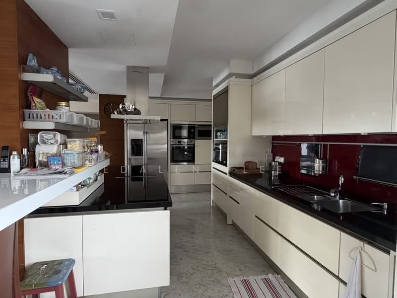 Balmoral Penthouse, Balmtal Road, 5 Bedrooms, 5,000 sqft, Condominium For Rent, by Edalene Lee, 500198064 - Dry Kitchen - PropertyGuru.com.sg