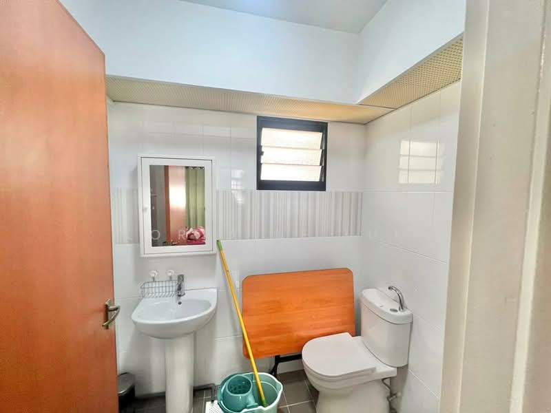 262 Toa Payoh Apex, 262 Toa Payoh East, 2 Bedrooms, 732 sqft, HDB Flat For Rent, by Lorraine Lum, 500198077 - Bathroom - PropertyGuru.com.sg