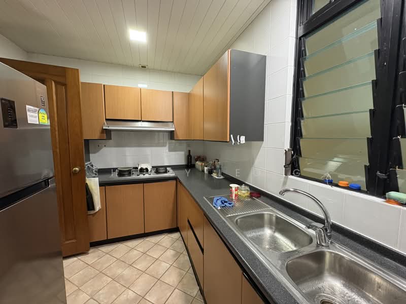 Spring Grove, 53 Grange Road, 2 Bedrooms, 1,012 sqft, Condominium For Sale, by Sherry Leong, 500198127 - Kitchen - PropertyGuru.com.sg