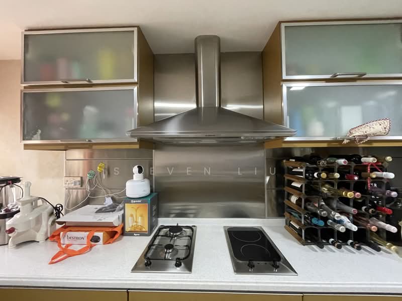 Orchard Bel Air, 245 Orchard Boulevard, Room Rental, 450 sqft, Condominium For Rent, by Steven Liu, 500198289 - Kitchen - PropertyGuru.com.sg