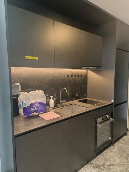 120 Grange, 120 Grange Road, 1 Bedroom, 420 sqft, Condominium For Rent, by Ivy Tan, 500198295 - Kitchen - PropertyGuru.com.sg