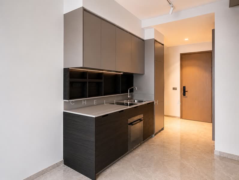 Haus On Handy, 28 Handy Road, 1 Bedroom, 463 sqft, Condominium For Rent, by Richelle Phua, 500198417 - Kitchen - PropertyGuru.com.sg