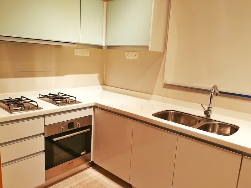 Tribeca by the Waterfront, 60 Kim Seng Road, 2 Bedrooms, 1,033 sqft, Condominium For Sale, by Irene Kee, 500198563 - Kitchen - PropertyGuru.com.sg