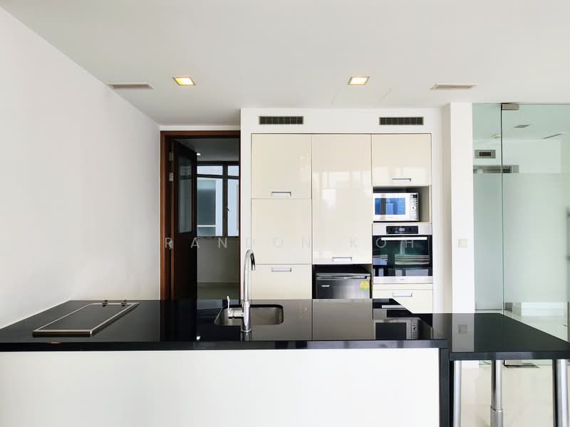 Saint Thomas Suites, 33 St Thomas Walk, 4 Bedrooms, 2,013 sqft, Condominium For Rent, by Brandon Koh, 500198701 - Dry Kitchen - PropertyGuru.com.sg
