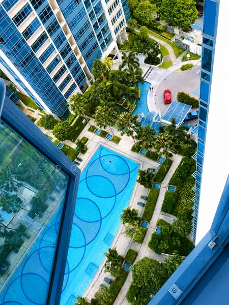 City Square Residences, 14 Kitchener Link, Room Rental, 250 sqft, Condominium For Rent, by Doris Tey, 500199020 - Pool - PropertyGuru.com.sg