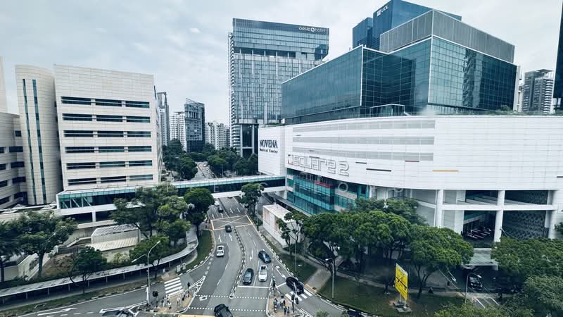 Mount Elizabeth Novena Hospital, 38 Irrawaddy Road, 581 sqft, Medical For Rent, by Elle Cheong, 500199428 - Window view - CommercialGuru.com.sg
