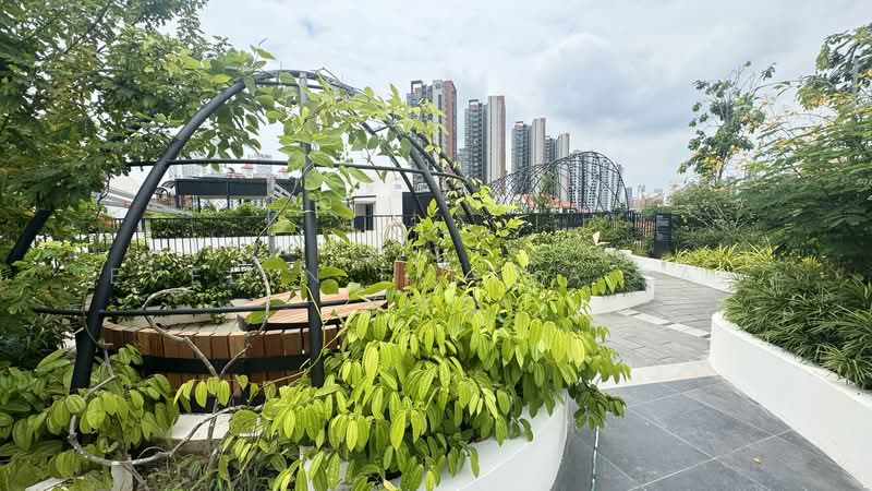 Jervois Mansion, 8 Jervois Close, Room Rental, 180 sqft, Condominium For Rent, by Evelyn Elisha Tan 陈秀芬, 500199430 - Rooftop Facilities - PropertyGuru.com.sg