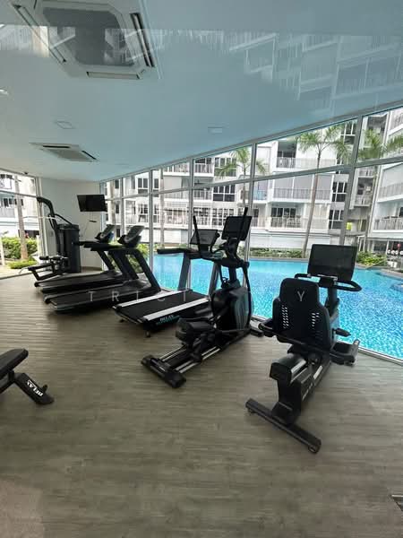 Forestville, 48 Woodlands Drive 16, Room Rental, 150 sqft, Executive Condominium For Rent, by Tricia Tay, 500199729 - PropertyGuru.com.sg
