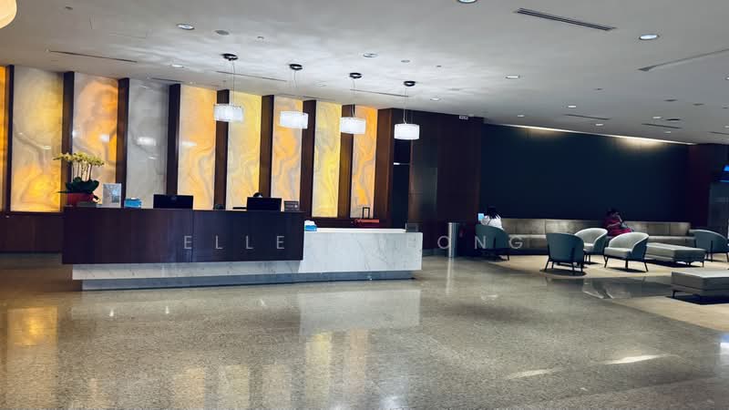 Mount Elizabeth Novena Hospital, 38 Irrawaddy Road, 120 sqft, Medical For Rent, by Elle Cheong, 500199735 - Lobby - CommercialGuru.com.sg