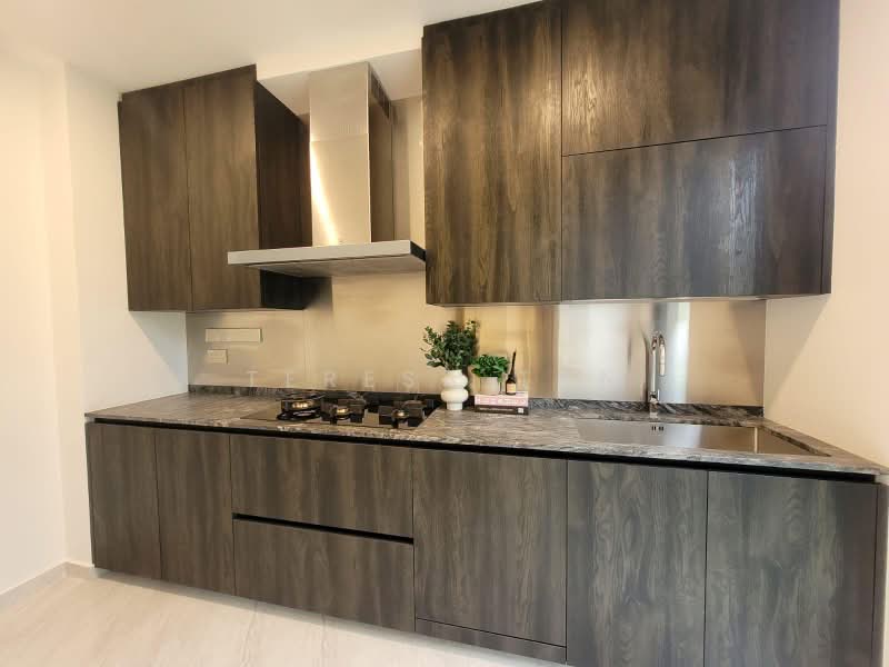 ⭐️⭐️LANDED7772⭐️ Novelle Collections TOP & CSC Obtained ⭐️9_667_7772, , 6 Bedrooms, 6,062 sqft, Terraced House For Sale, by Teresa Tan, 500199799 - Kitchen - PropertyGuru.com.sg
