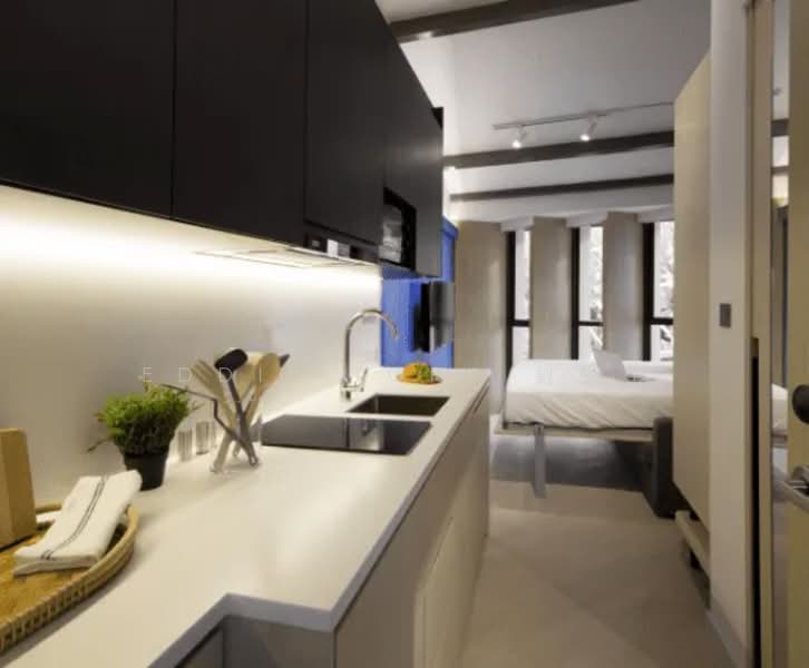 Coliwoo Keppel | Furnished Studio Near Tanjong Pagar MRT, , Studio, 220 sqft, Apartment For Rent, by Eddie Tork 戴先生, 500199854 - Kitchen - PropertyGuru.com.sg