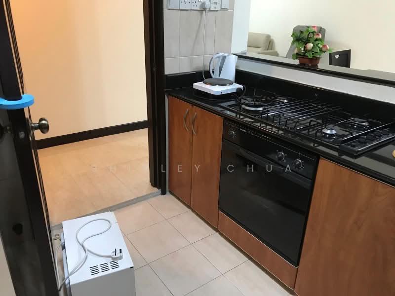 The Bencoolen, 180 Bencoolen Street, 2 Bedrooms, 958 sqft, Apartment For Rent, by Shirley Chua, 500199940 - Kitchen - PropertyGuru.com.sg