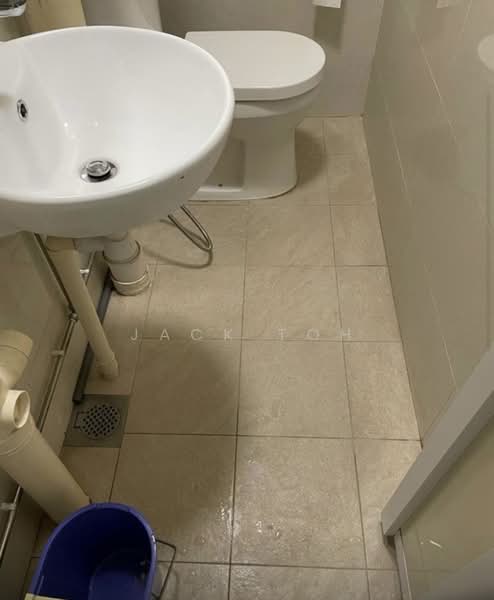 88 Commonwealth Close, 88 Commonwealth Close, 2 Bedrooms, 660 sqft, HDB Flat For Rent, by Jack Toh, 500200308 - Bathroom - PropertyGuru.com.sg