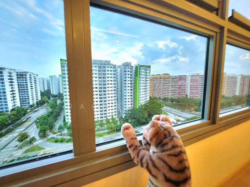 621A Tampines Street 61, 621A Tampines Street 61, 3 Bedrooms, 1,001 sqft, HDB Flat For Sale, by Jackson B., 500200436 - PropertyGuru.com.sg