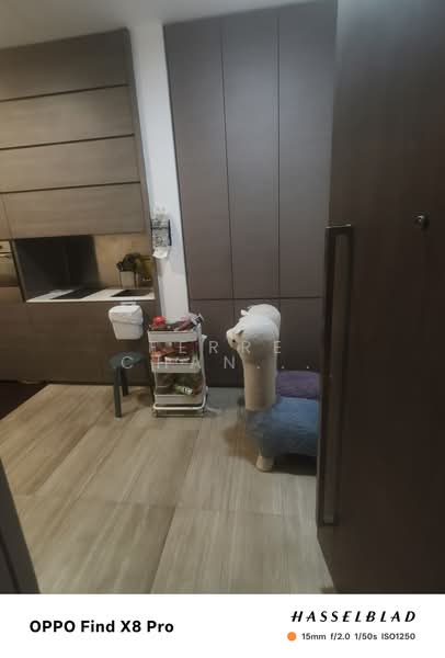 Seletar Park Residence, 21 Seletar Road, 1 Bedroom, 721 sqft, Condominium For Rent, by Ferre Chan Chee Seng, 500200472 - Kitchen - PropertyGuru.com.sg