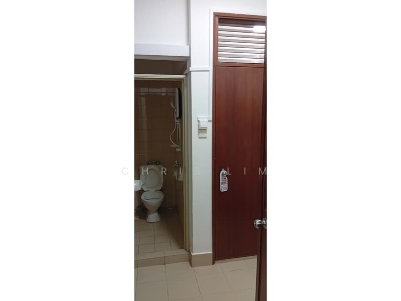 River Place, 60 Havelock Road, Room Rental, 100 sqft, Condominium For Rent, by Chris Lim, 500200583 - Bathroom - PropertyGuru.com.sg