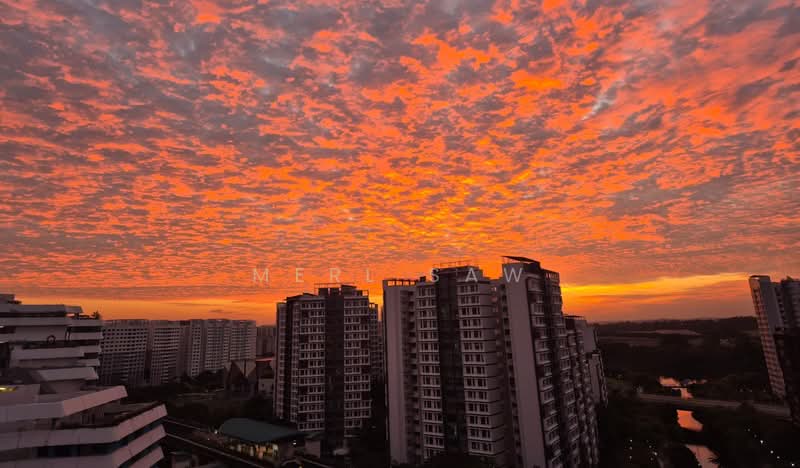 310C Punggol Walk photo 4
