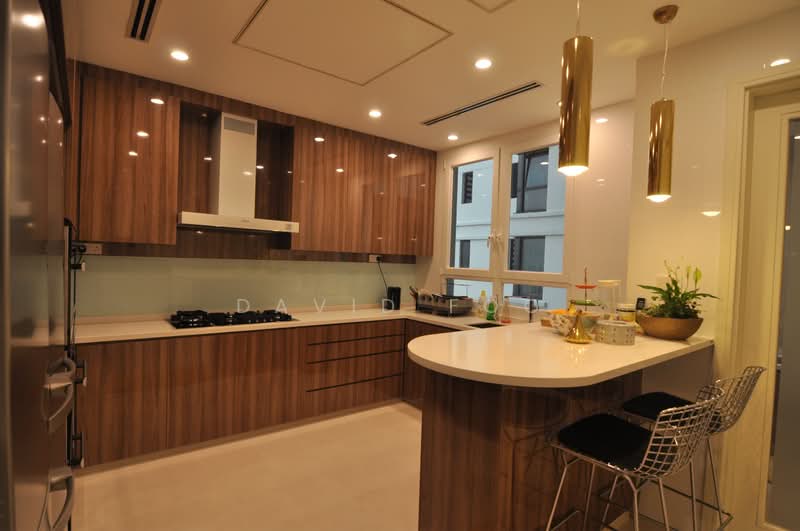 Ardmore Park, 9 Ardmore Park, 4 Bedrooms, 2,886 sqft, Condominium For Rent, by David Foo, 500201273 - Kitchen - PropertyGuru.com.sg