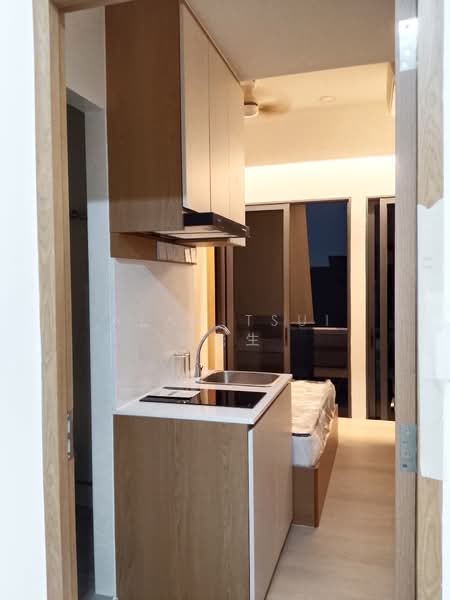 Millage, 55 Changi Road, Studio, 250 sqft, Condominium For Rent, by Alan Tsui 徐先生, 500201398 - Kitchen - PropertyGuru.com.sg