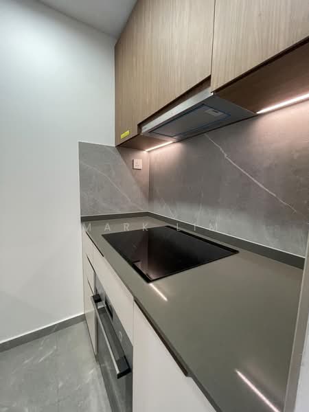 Myra, 9 Meyappa Chettiar Road, 2 Bedrooms, 732 sqft, Condominium For Rent, by Mark LIM, 500201950 - Kitchen - PropertyGuru.com.sg
