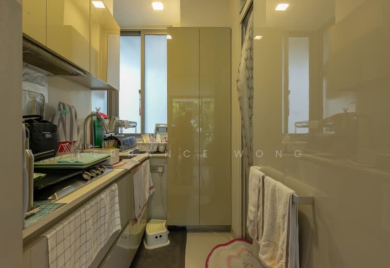 Hilltops, 101 Cairnhill Circle, 3 Bedrooms, 1,550 sqft, Condominium For Sale, by Terrance Wong, 500202241 - Kitchen - PropertyGuru.com.sg
