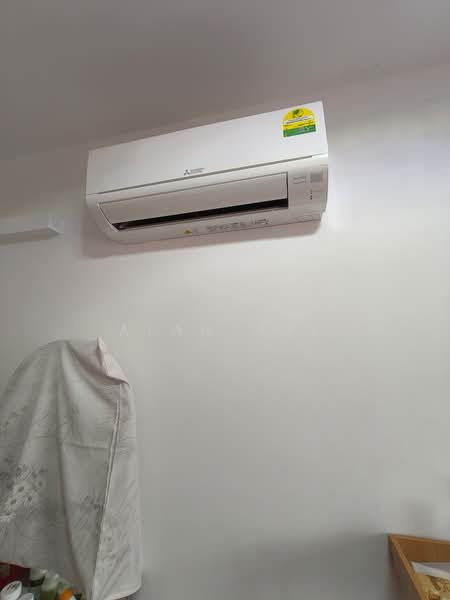 316A Ang Mo Kio Street 31, 316A Ang Mo Kio Street 31, Ang Mo Kio / Bishan / Thomson, Room Rental, 200 sqft, HDB Flat For Rent, by Alan Huy, 500202322 - Interior - PropertyGuru.com.sg