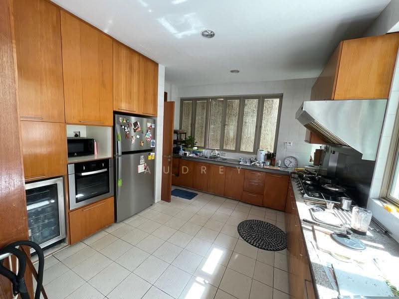 Rare 2 Storey Detached! @ Opera Estate, Fidelio Street, Opera Estate, Fidelio Street, East Coast / Marine Parade, 6 Bedrooms, 6,212 sqft, Detached House For Sale, by Audrey Wong, 500202331 - Kitchen - PropertyGuru.com.sg