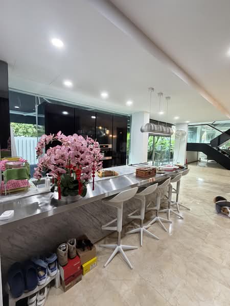411 River Valley Road, , 6 Bedrooms, 1,200 sqft, Walk-up Apartment For Sale, by Jo (陳凯雯), 500202401 - Kitchen - PropertyGuru.com.sg